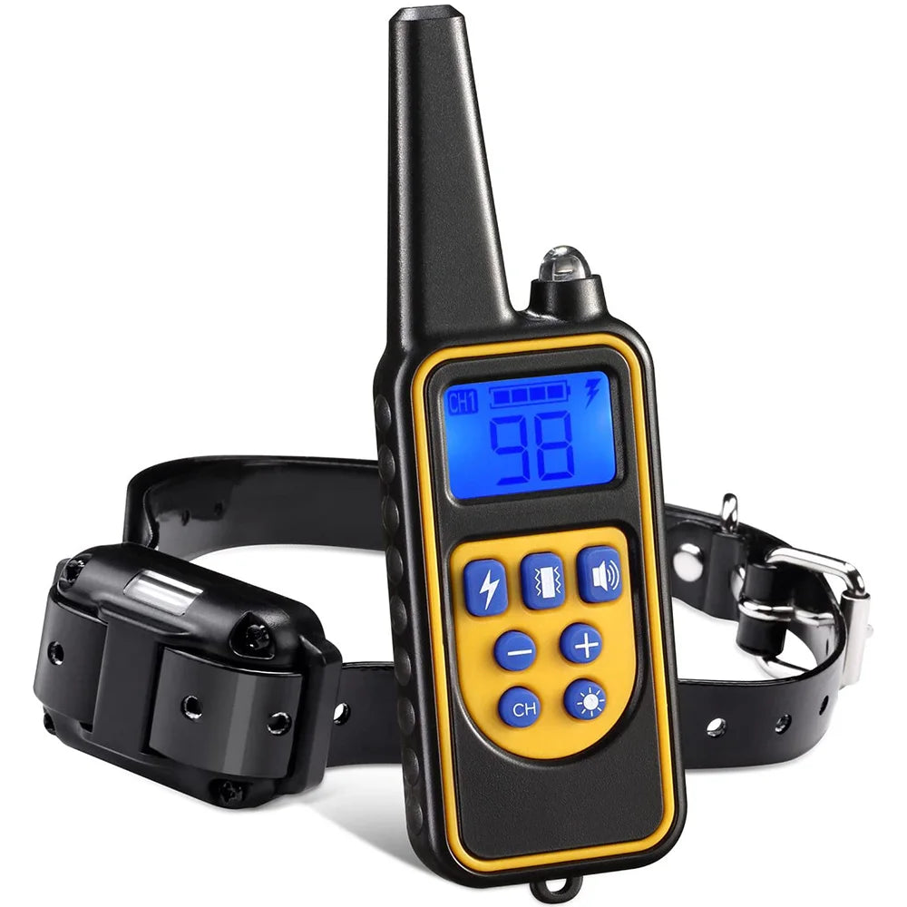 Training Shock Collar Dog