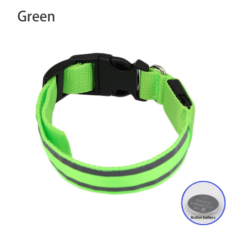 Dog Light Up Collar