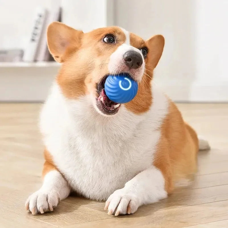 Smart Ball For Dogs