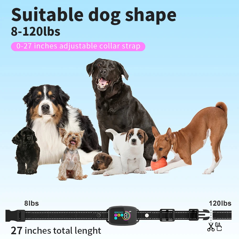 Dog Training Collar