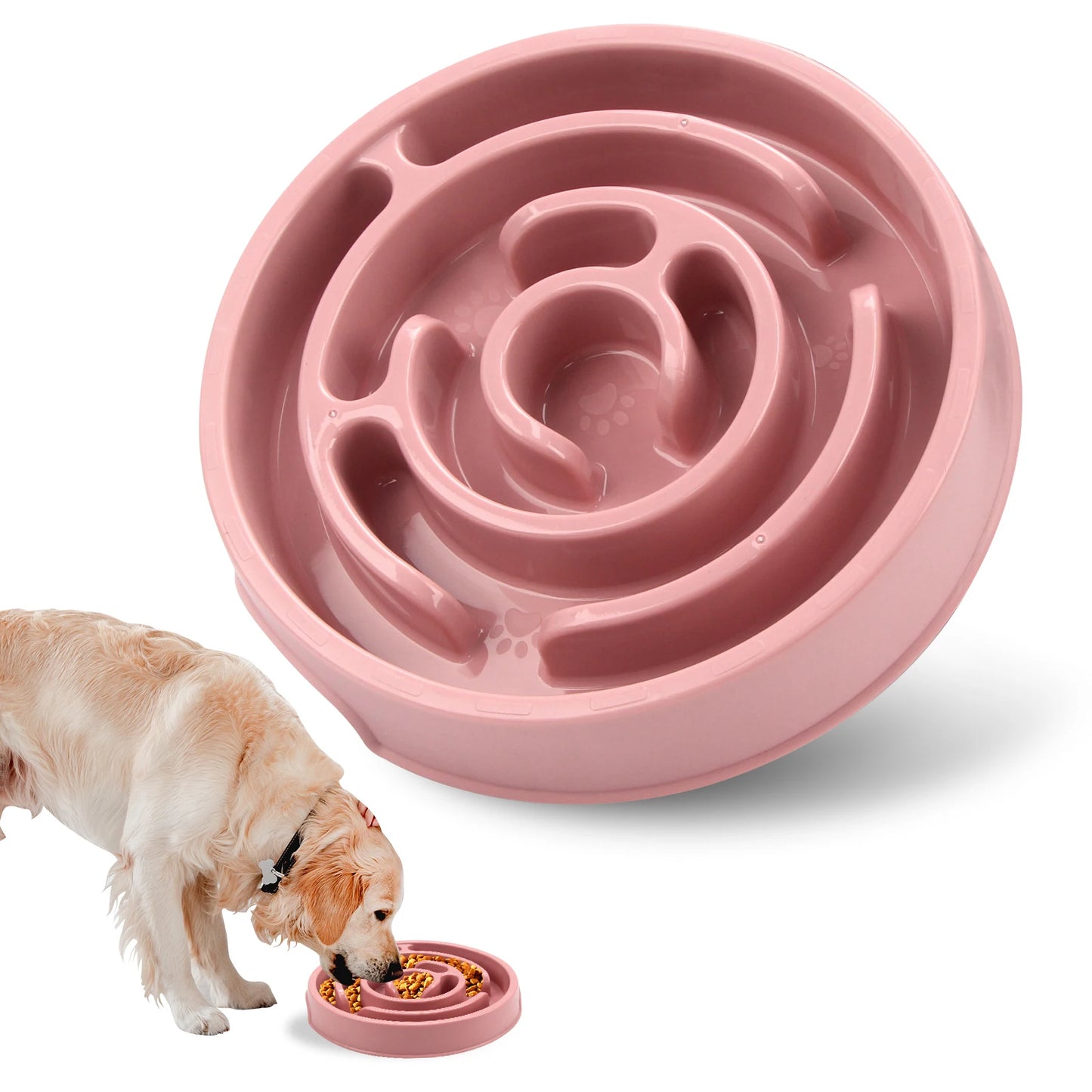 Slow Dog Feeder Bowl
