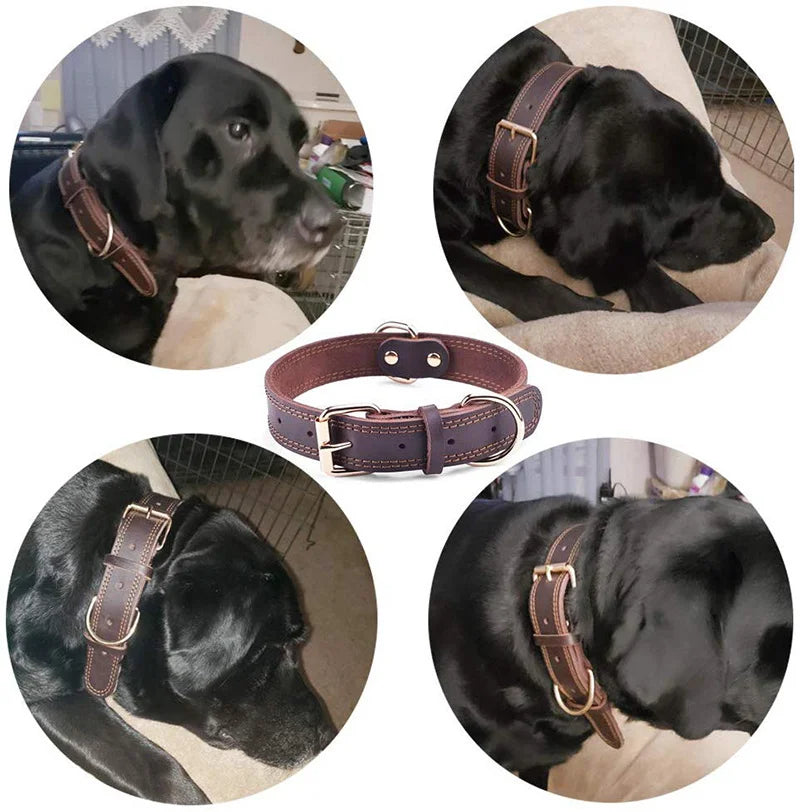 Rolled Leather Dog Collar