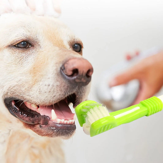 3 Sided Dog Toothbrush