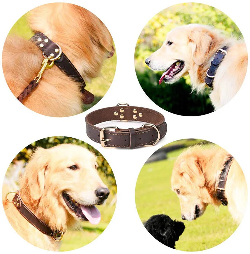 Rolled Leather Dog Collar