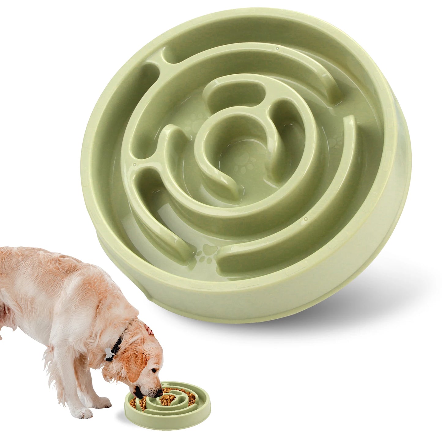 Slow Dog Feeder Bowl
