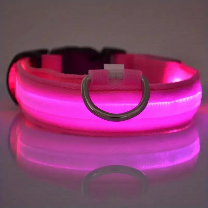 Lighted Dog Collar