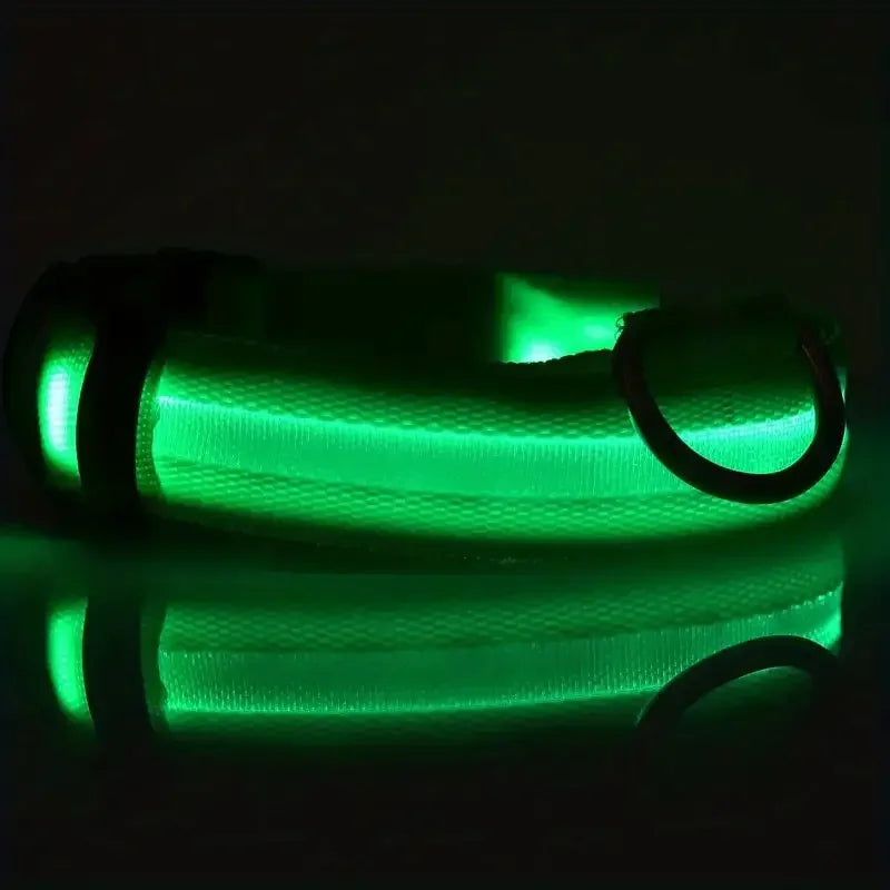 Lighted Dog Collar
