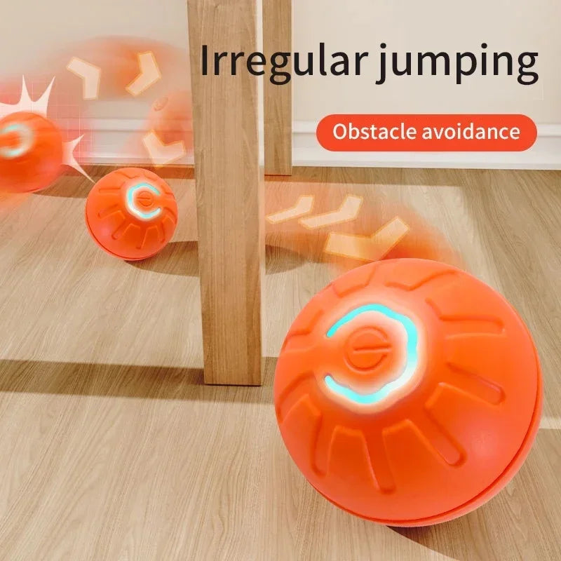 Smart Ball For Dogs