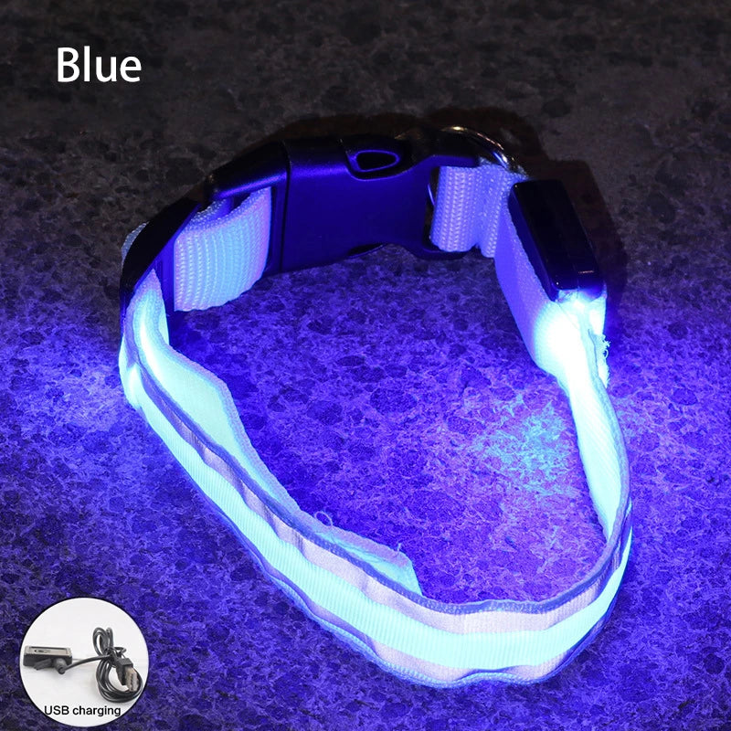 Dog Light Up Collar