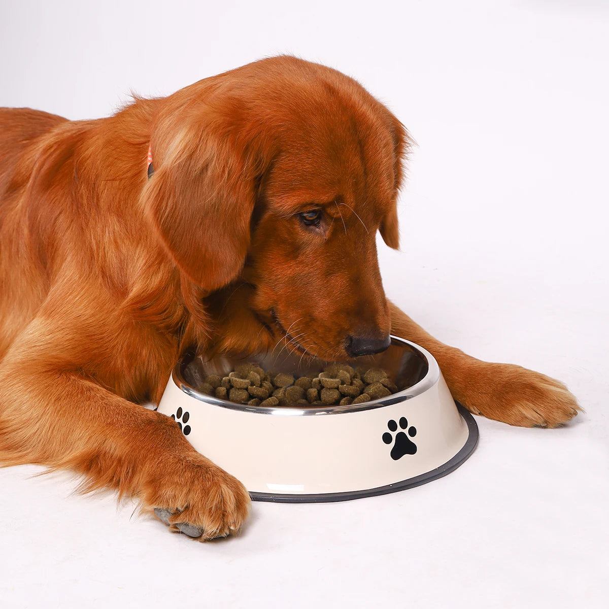 Stainless Steel Slow Feeder Dog Bowl
