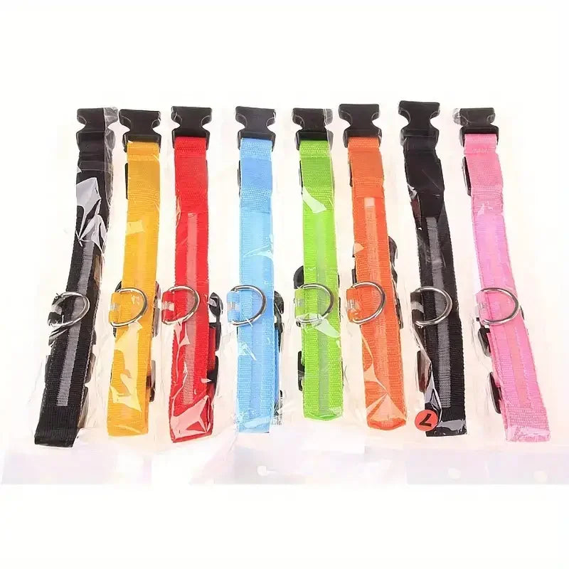 Lighted Dog Collar