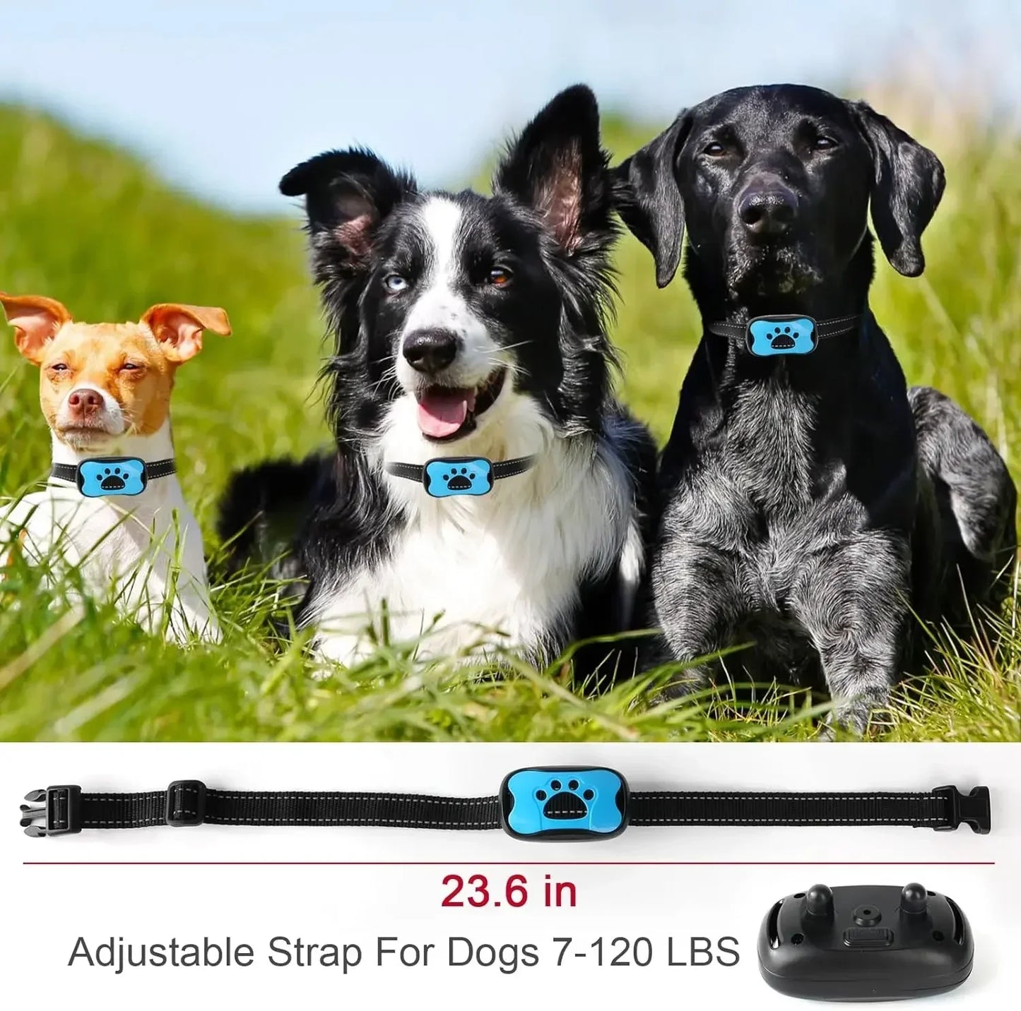 Remote Dog Training Collar