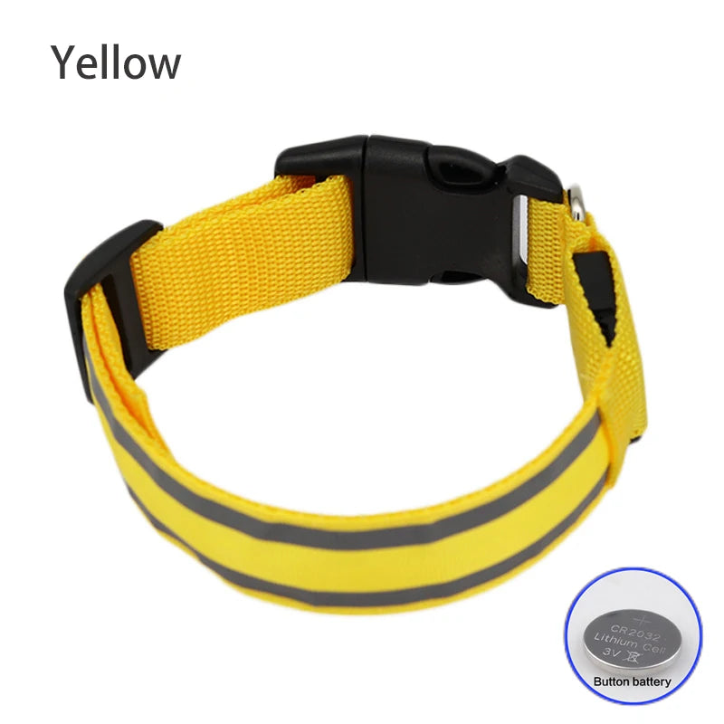 Dog Light Up Collar