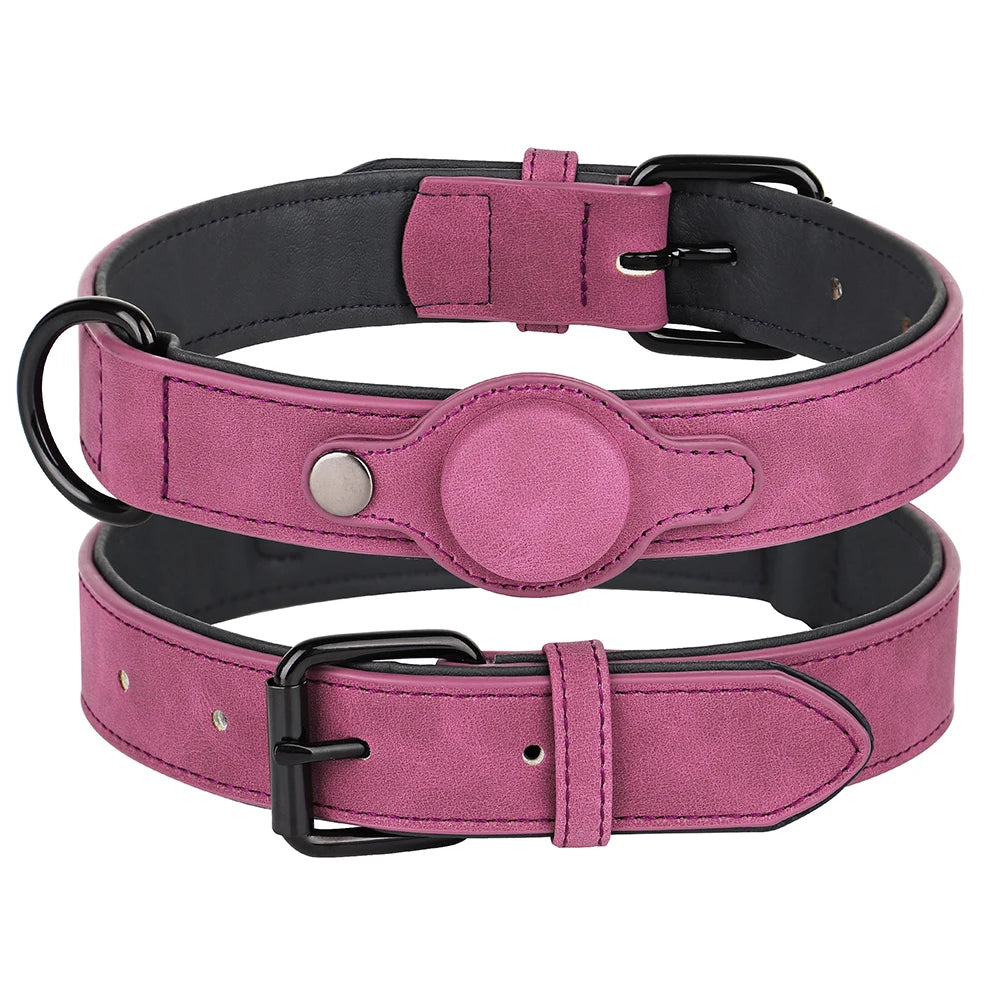 Dog Tracking Collar