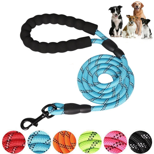 Strong Leash For Dogs
