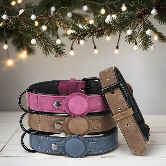 Dog Tracking Collar