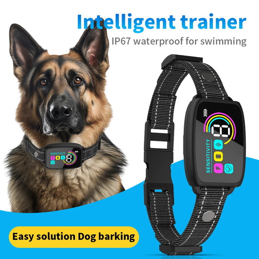 Dog Training Collar