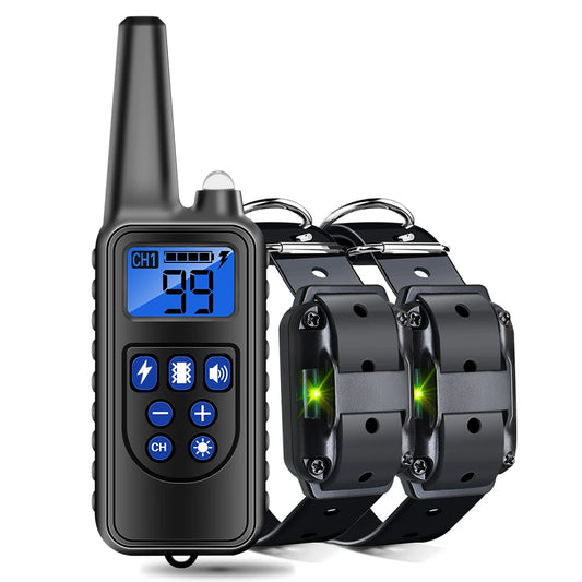 Training Shock Collar Dog